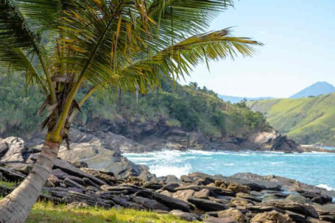 Litoral Norte um paraíso a ser descoberto.